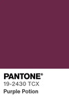 5521 pantone color chip 19 2430 tcx