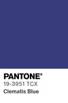 5522 pantone color chip 19 3951 tcx
