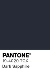 5524 pantone color chip 19 4020 tcx