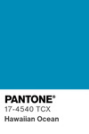 5529 pantone color chip 17 4540 tcx