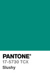 5531 pantone color chip 17 5730 tcx