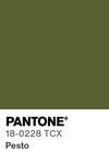 5533 pantone color chip 18 0228 tcx