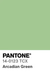 5534 pantone color chip 14 0123 tcx