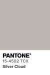 5538 pantone color chip 15 4502 tcx