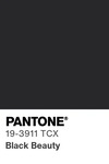 5541 pantone color chip 19 3911 tcx
