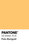 5548 pantone color chip 13 0945 tcx