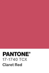 5549 pantone color chip 17 1740 tcx