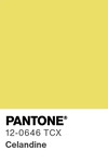 5555 pantone color chip 12 0646 tcx