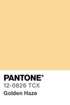 5556 pantone color chip 12 0826 tcx