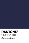 5560 pantone color chip 19 3937 tcx