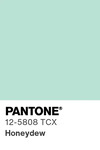 5562 pantone color chip 12 5808 tcx