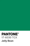 5563 pantone color chip 17 6030 tcx