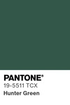 5564 pantone color chip 19 5511 tcx