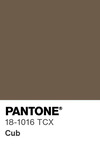 5565 pantone color chip 18 1016 tcx