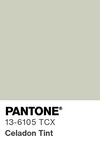5567 pantone color chip 13 6105 tcx