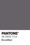 5568 pantone color chip 18 3905 tcx