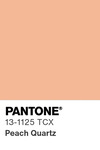 5569 pantone color chip 13 1125 tcx