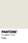 5571 pantone color chip 11 4801 tcx
