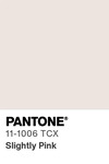 5575 pantone color chip 11 1006 tcx