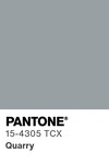 5576 pantone color chip 15 4305 tcx