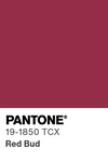 5589 pantone color chip 19 1850 tcx