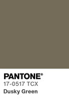 5591 pantone color chip 17 0517 tcx