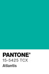 5593 pantone color chip 15 5425 tcx