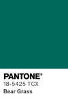 5594 pantone color chip 18 5425 tcx