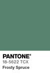 5597 pantone color chip 18 5622 tcx