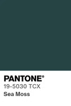 5598 pantone color chip 19 5030 tcx