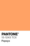 5600 pantone color chip 15 1243 tcx