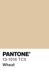 5603 pantone color chip 13 1016 tcx