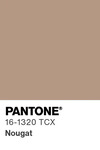 5605 pantone color chip 16 1320 tcx