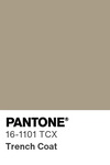 5606 pantone color chip 16 1101 tcx