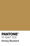 5608 pantone color chip 17 1047 tcx