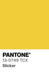 5611 pantone color chip 13 0749 tcx