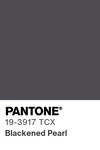 5612 pantone color chip 19 3917 tcx