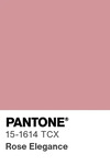 5615 pantone color chip 15 1614 tcx