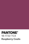 5616 pantone color chip 18 1722 tcx