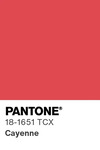 5618 pantone color chip 18 1651 tcx