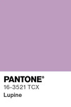 5621 pantone color chip 16 3521 tcx
