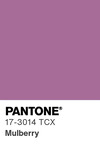 5622 pantone color chip 17 3014 tcx