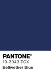 5626 pantone color chip 19 3943 tcx