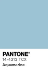 5627 pantone color chip 14 4313 tcx