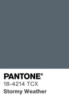 5628 pantone color chip 18 4214 tcx