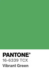 5633 pantone color chip 16 6339 tcx