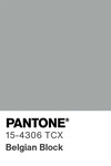 5636 pantone color chip 15 4306 tcx