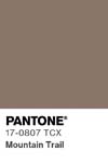 Pantone