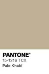10960 pantone color chip 15 1216 tcx