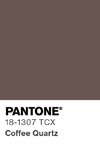 10964 pantone color chip 18 1307 tcx